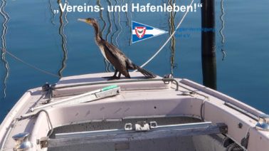 Aktuelles Aktuelles