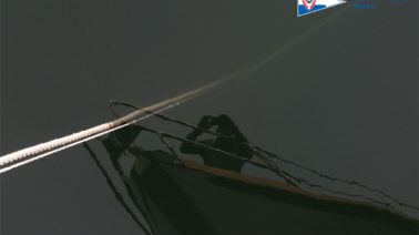 SVK-Photo des Monats Mai 2024 SVK-Kalender2024 Bild des Monats Mai